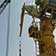 gruas